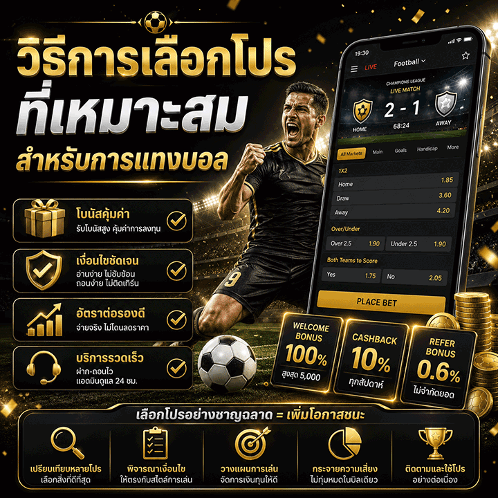 วิธีการเลือกโปรที่เหมาะสม
