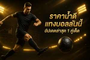 ราคาน้ำดี แทงบอลวันนี้